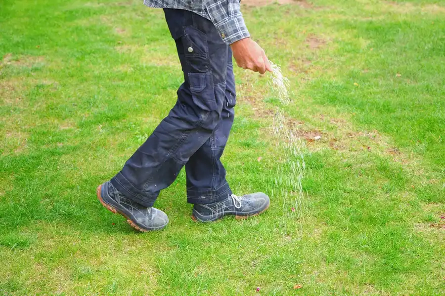 Reliable Lawn Care Lawn Care