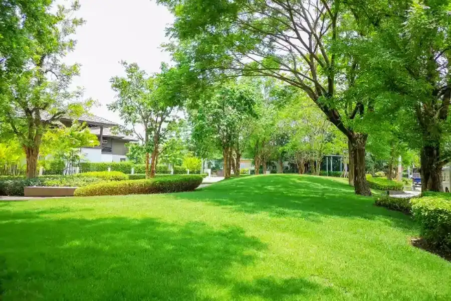 How Lawn Maintenance Enhances Curb Appeal For Homes Wailuku, HI How Lawn Maintenance Enhances Curb Appeal For Homes Wailuku, HI