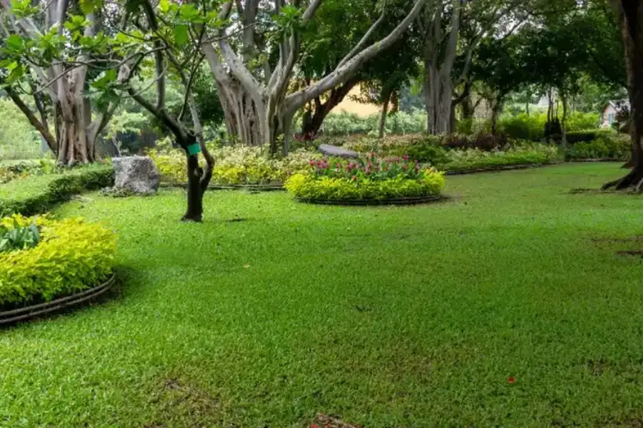 Importance Of Regular Lawn Maintenance For A Healthy Yard Wailuku, HI Importance Of Regular Lawn Maintenance For A Healthy Yard Wailuku, HI