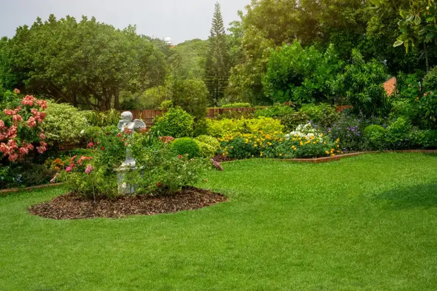 Importance Of Regular Lawn Maintenance For A Healthy Yard in Wailuku, HI Importance Of Regular Lawn Maintenance For A Healthy Yard in Wailuku, HI