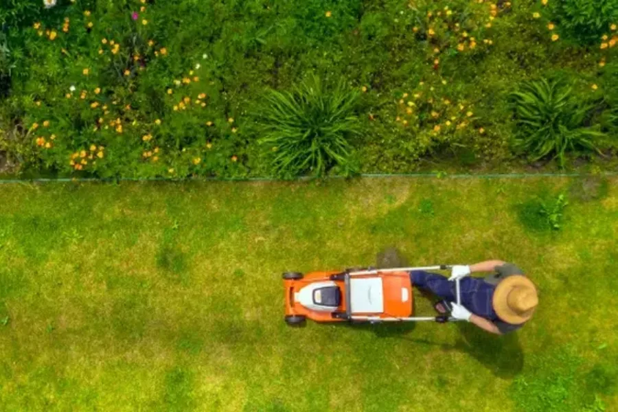 Reliable Lawn Maintenance Wailuku, HI Reliable Lawn Maintenance Wailuku, HI