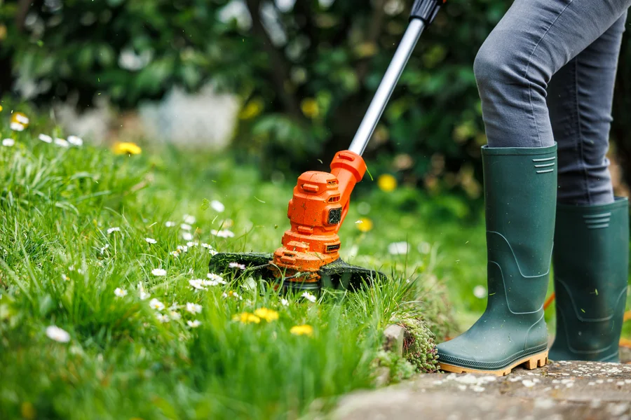 Reputable Lawn Care Wailuku, HI Reputable Lawn Care Wailuku, HI
